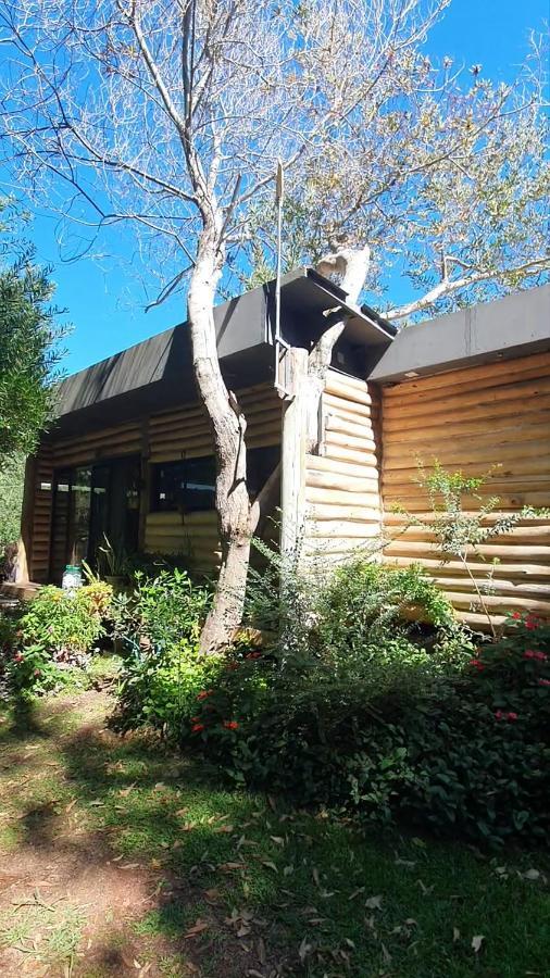 Chalet Los Troncos Sauce de Portezuelo Buitenkant foto