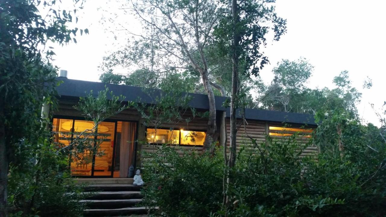 Chalet Los Troncos Sauce de Portezuelo Buitenkant foto
